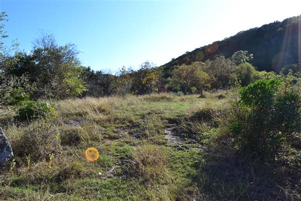 Madrone Ranch (11/12/2015)