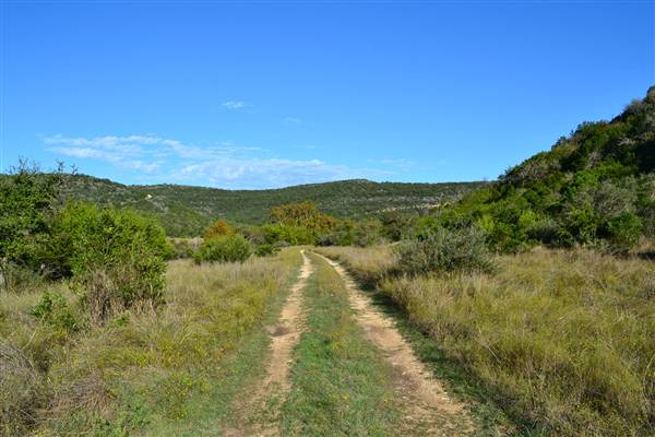 Madrone Ranch (11/12/2015)