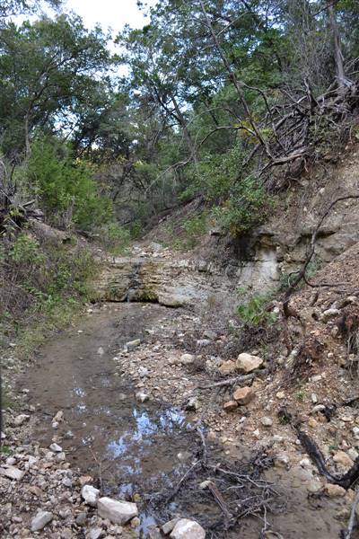 Madrone Ranch (11/12/2015)