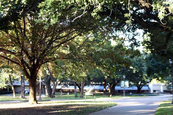 McLennan Community College (1/12/2016)