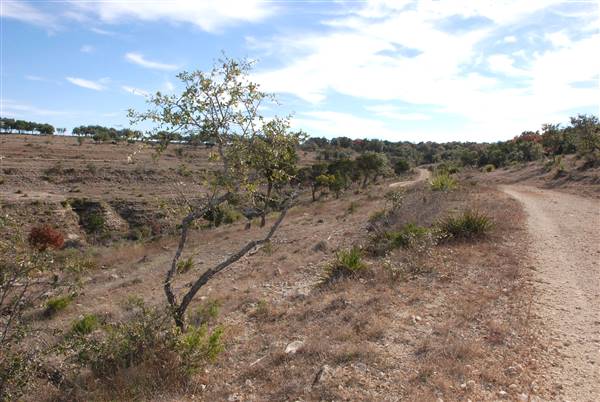 Longhorn River Ranch (12/9/2015)