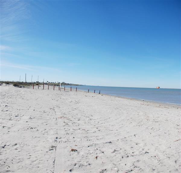 East Beach (2/16/2016)