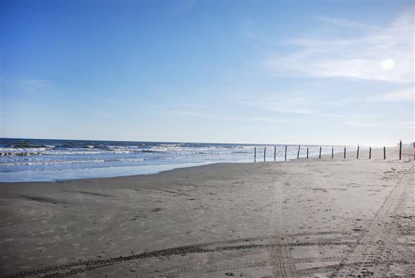Beach Pocket Park #1 (2/16/2016)