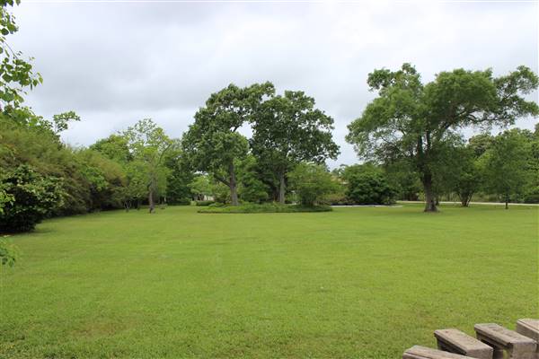 Carothers Coastal Gardens of Seabrook (6/16/2016)