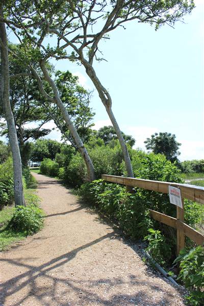 Seabrook Hike & Bike Trails (6/16/2016)