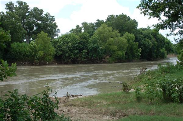 Guadalupe River at Hwy 183 (11/21/2016)
