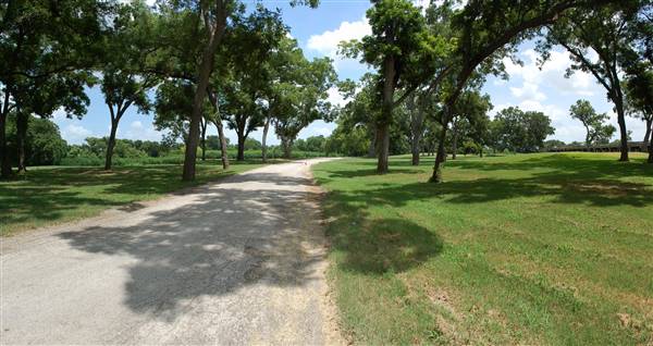 Independence Park (11/22/2016)