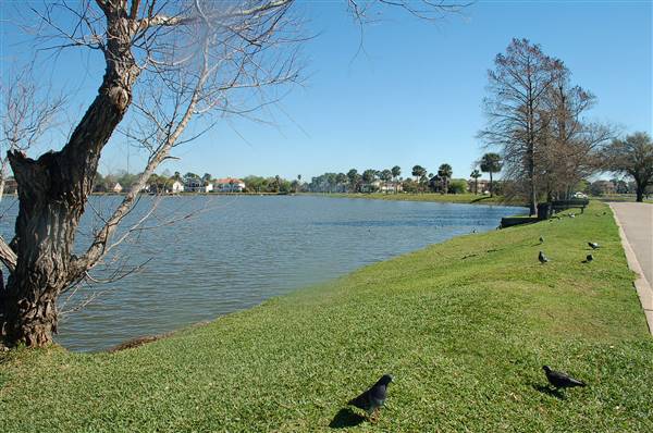 Nassau Bay City Park (12/15/2016)