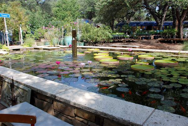 Hill Country Water Gardens & Nursery (8/11/2017)