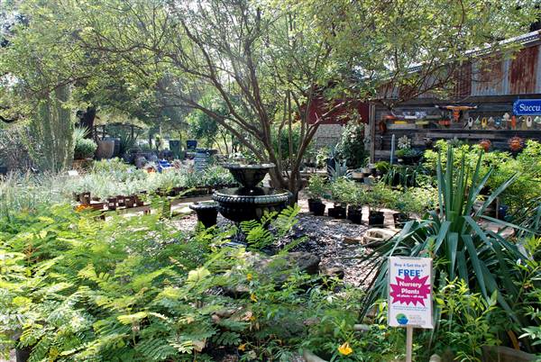Hill Country Water Gardens & Nursery (8/11/2017)