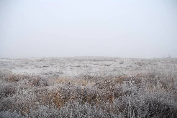 Mendota Ranch (12/13/2007)