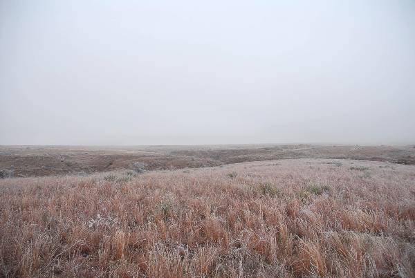 Mendota Ranch (12/13/2007)
