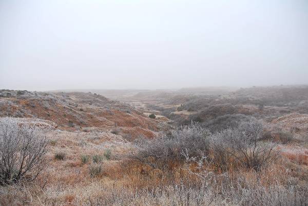 Mendota Ranch (12/13/2007)