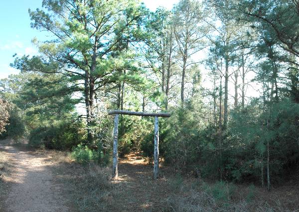 McKinney Roughs Nature Park (1/17/2008)