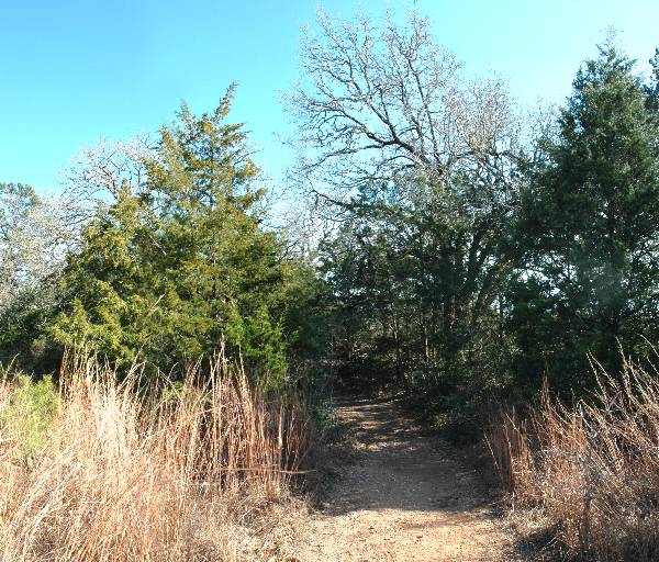 McKinney Roughs Nature Park (1/17/2008)