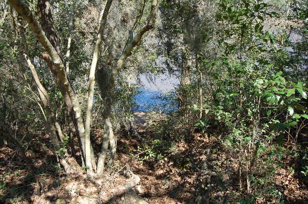 Buescher State Park (2/26/2008)