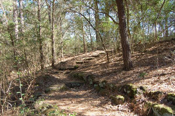 Buescher State Park (2/26/2008)