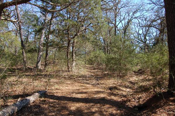 Buescher State Park (2/26/2008)