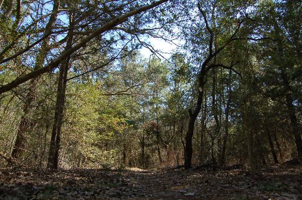 Buescher State Park (2/26/2008)