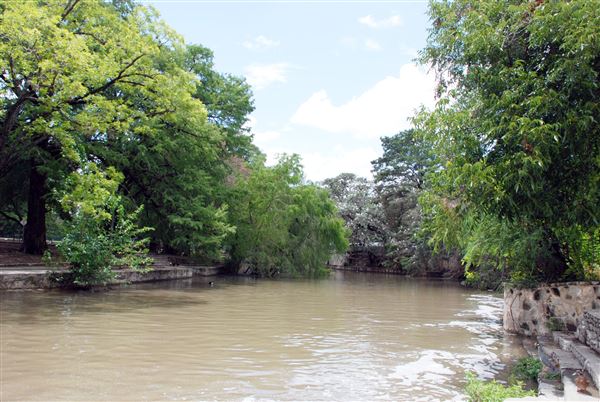 Brackenridge Park (7/5/2018)