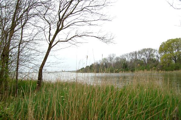 Windsurf Bay Park (3/27/2008)