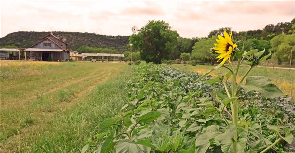 Montesino Ranch (3/5/2017)