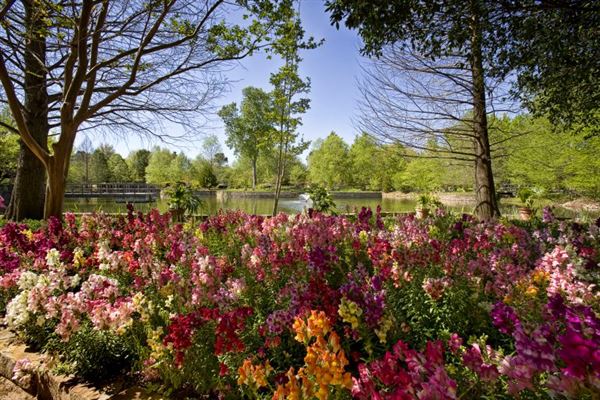 Clark Gardens Botanical Park (3/12/2019 - Credits: Rose Jordan)