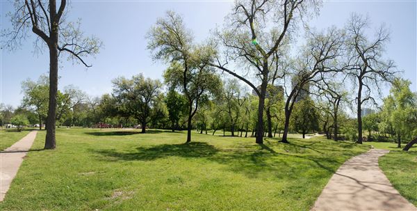 Reverchon Park (4/12/2019)