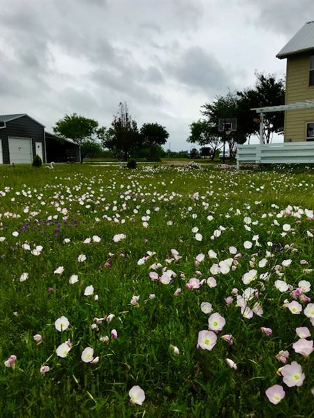 Obregon Ranch (5/14/2019 - Credits: Jariah Obregon)