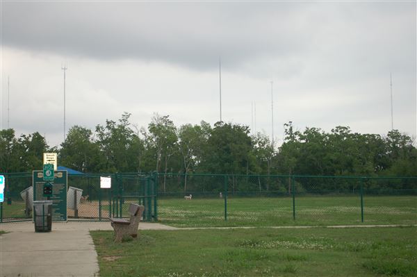 Kitty Hollow Park (5/10/2019)