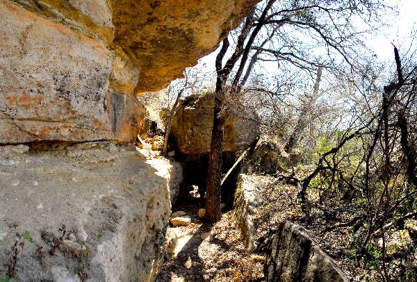 Milton Reimers Ranch County Park (3/7/2008)