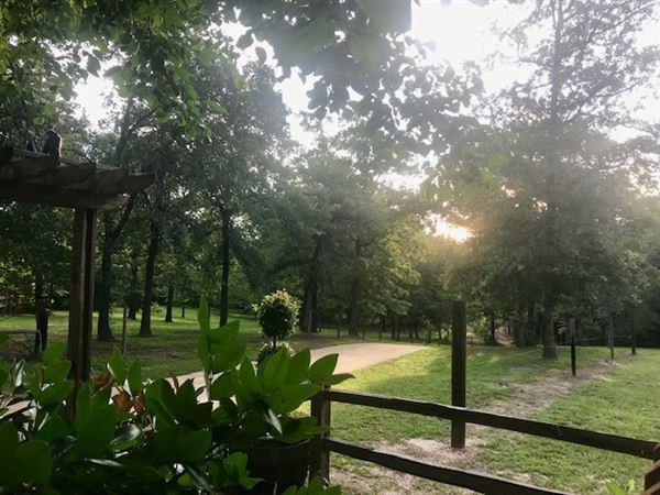 Sabor A Pasion Estate & Vineyard (5/4/2019)