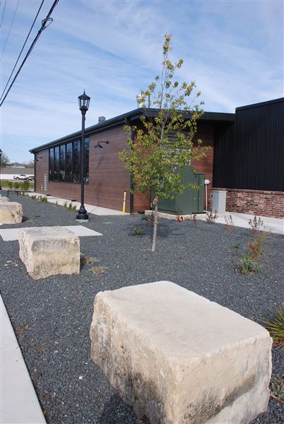 Bear King Brewing Company (3/1/2019)