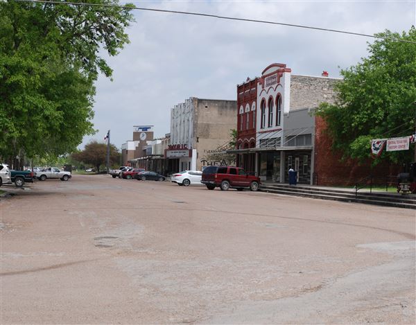 Flatonia (4/4/2019)