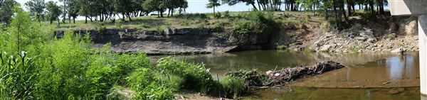 Brazos River at FM 4 Bridge (7/16/2019)