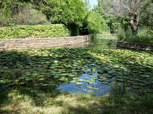 Clark Gardens Botanical Park (7/16/2019)