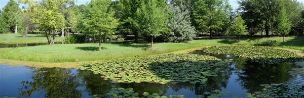 Clark Gardens Botanical Park (7/16/2019)