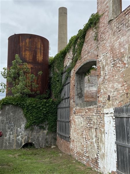 McKinney Cotton Mill (6/18/2020 - Credits: Aimee Woolverton)