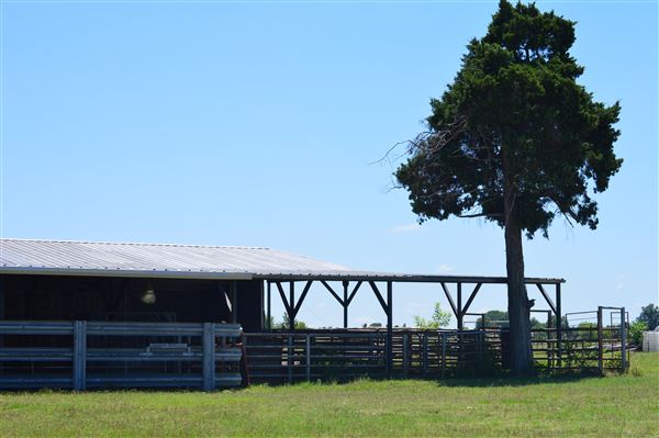 Cedar Isle Ranch (6/8/2020 - Credits: Mexia EDC)