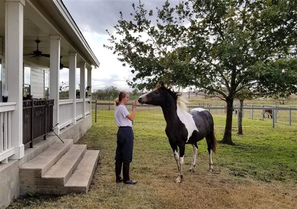 The Rustoration Ranch (8/2/2020 - Credits: Self)