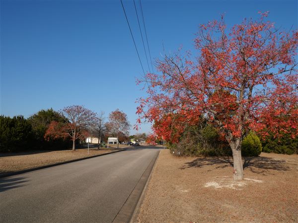 Walnut Creek Metropolitan Park (12/15/2020)