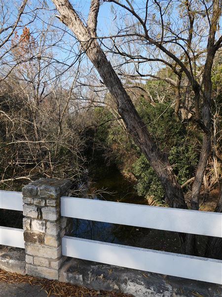 Walnut Creek Metropolitan Park (12/15/2020)