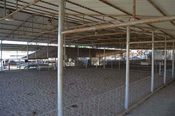 Clifton Fairgrounds (12/12/2020 - Credits: Angela Smith)