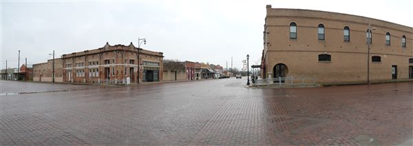 Bartlett (2/6/2021)