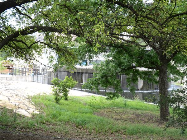 Waterloo Park (5/27/2021)