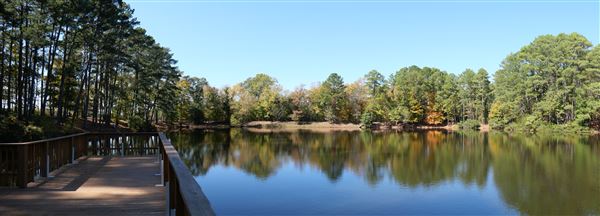 Synergy Park (11/12/2021)