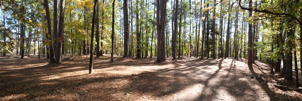 Synergy Park (11/12/2021)
