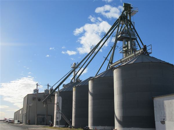 Top Tier Grain & Feed (1/21/2022 - Credits: Jane Jeschke)