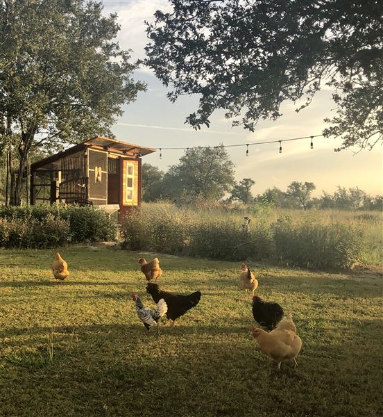 Stone Home Ranch (5/7/2022)
