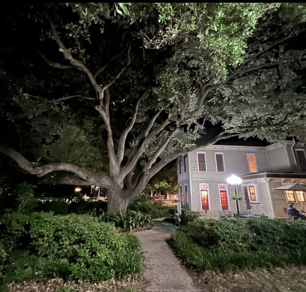 The Nathan Cass Magnolia House (7/6/2022 - Credits: Marion Tully)